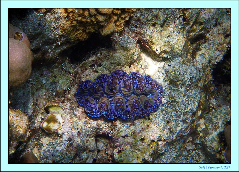 2011 - 03 - Koh Rok 31